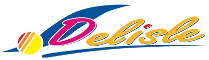 Groupe Delisle logo