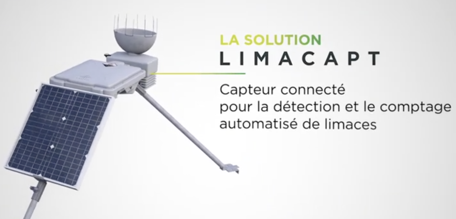 Maquette web Limacapt