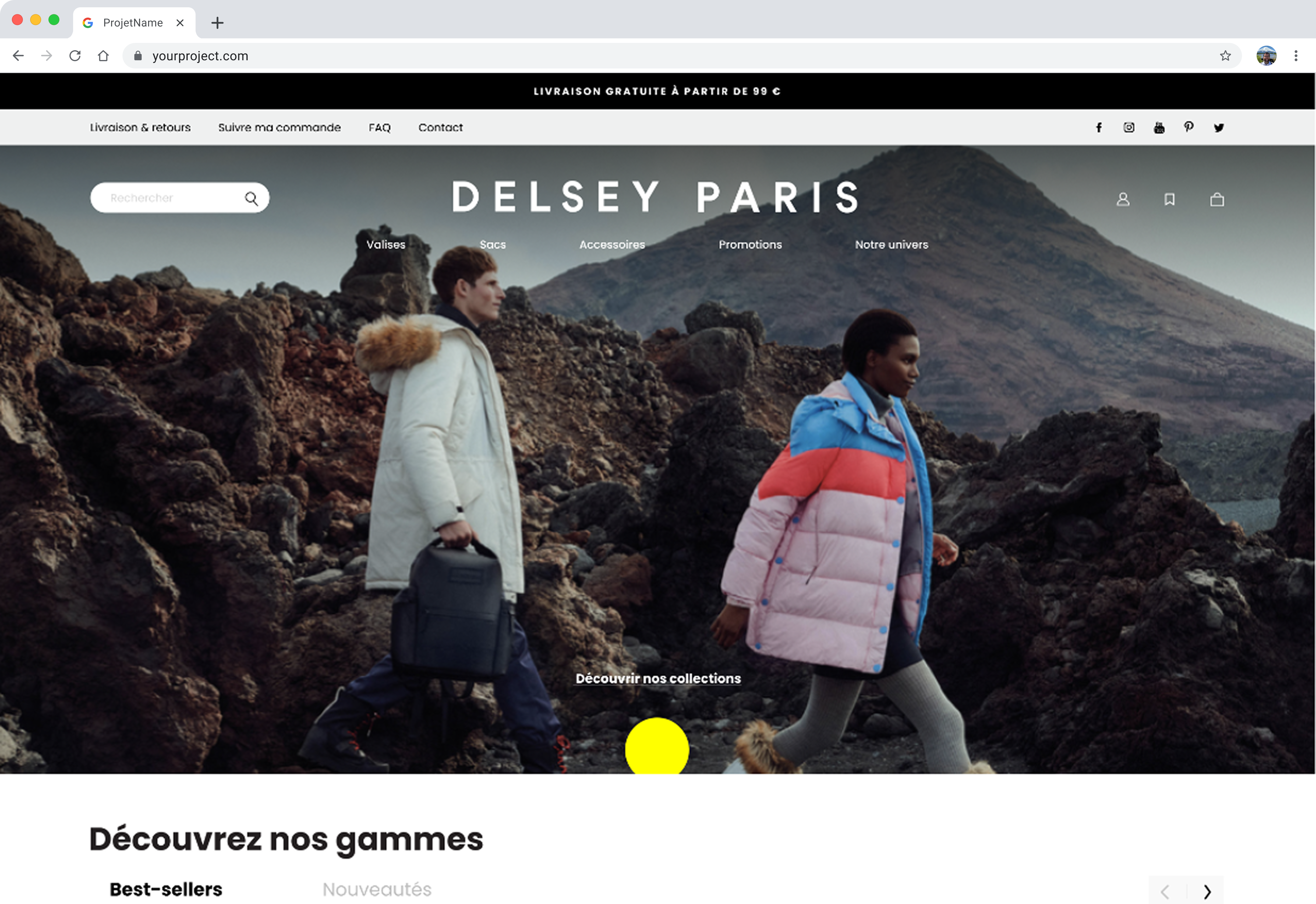 Maquette web Delsey